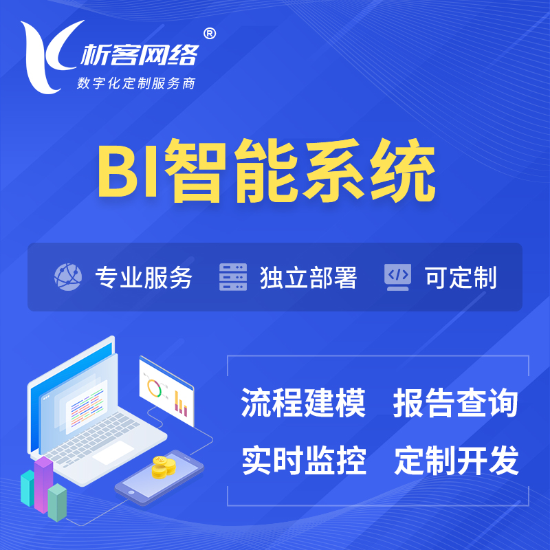 荆州BI智能系统 | BI数据可视化